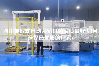 四川抓取式自動裝箱機哪家質(zhì)量好(如何選擇z優(yōu)質(zhì)的廠家) 四川抓取式自動裝箱機哪家質(zhì)量好(如何選擇z優(yōu)質(zhì)的廠家)