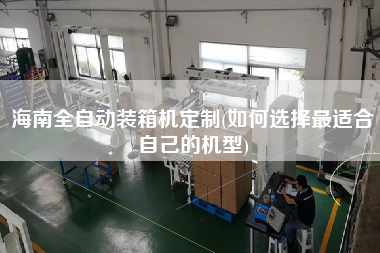 海南全自動裝箱機定制(如何選擇z適合自己的機型) 海南全自動裝箱機定制(如何選擇z適合自己的機型)