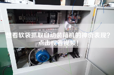 想看軟袋抓取自動(dòng)裝箱機(jī)的神奇表現(xiàn)？點(diǎn)擊觀看視頻！