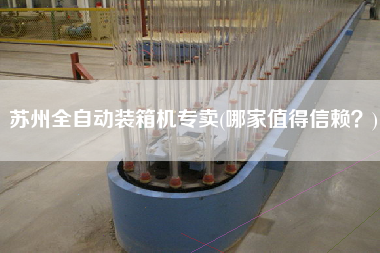 蘇州全自動(dòng)裝箱機(jī)專賣(哪家值得信賴?) 蘇州全自動(dòng)裝箱機(jī)專賣(哪家值得信賴?)