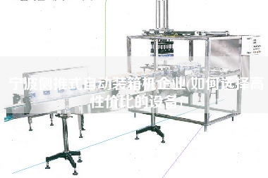 寧波側(cè)推式自動(dòng)裝箱機(jī)企業(yè)(如何選擇高性價(jià)比的設(shè)備) 寧波側(cè)推式自動(dòng)裝箱機(jī)企業(yè)(如何選擇高性價(jià)比的設(shè)備)