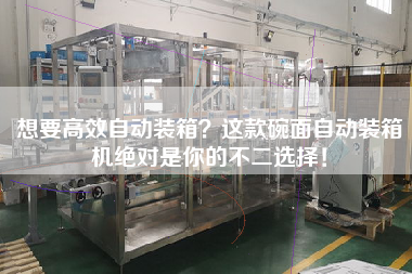 想要高效自動裝箱?這款碗面自動裝箱機絕對是你的不二選擇! 想要高效自動裝箱?這款碗面自動裝箱機絕對是你的不二選擇!